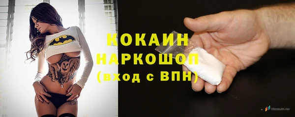 прущие грибы Рославль