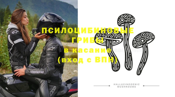 винт Армянск